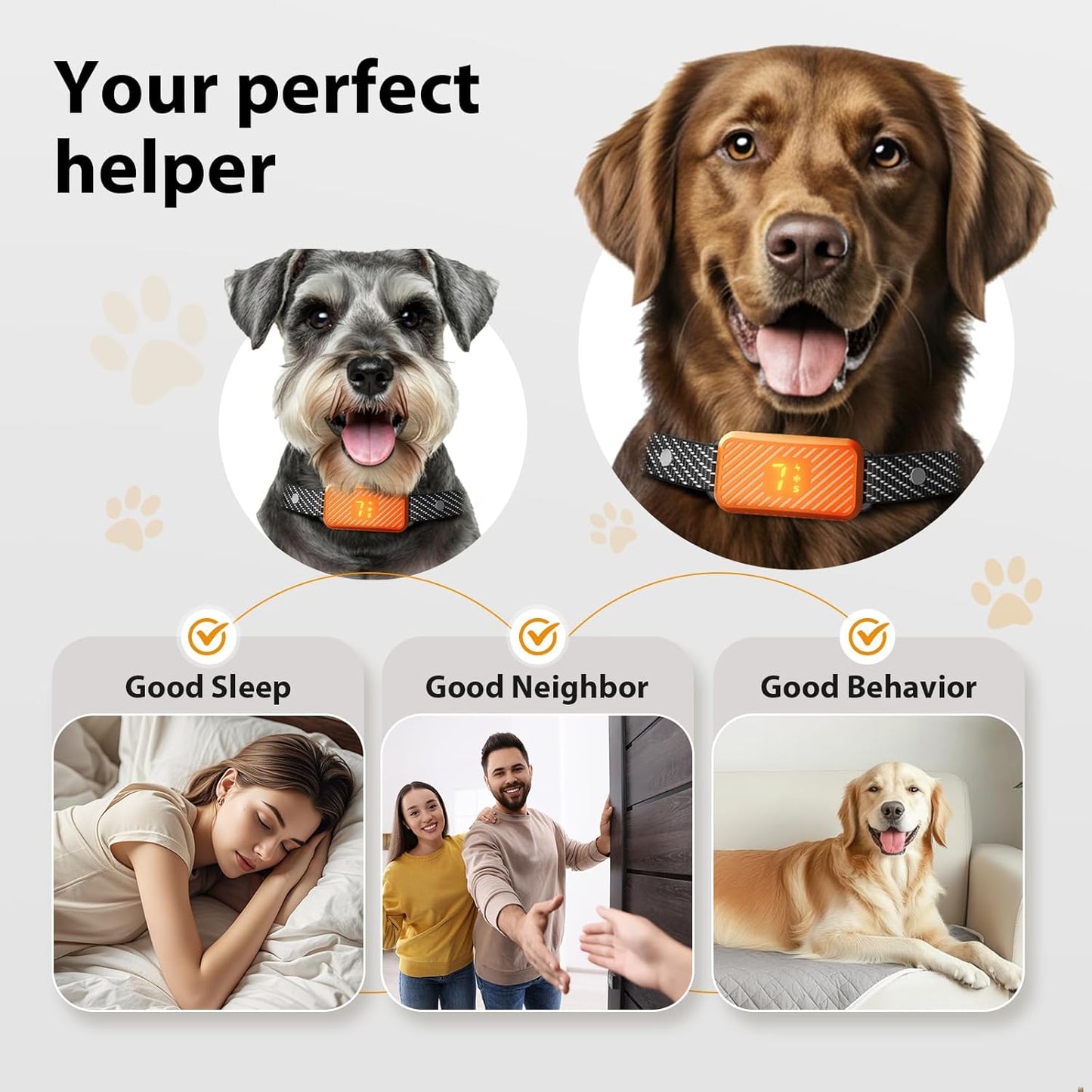 dog wearing KJKZO bark collar while playing outside. KJKZO anti-bark collar with fast 0.1s response time. no shock dog training collar with beep and vibration. KJKZO rechargeable dog collar with USB Type-C cable. smart anti-bark collar with false trigger prevention. waterproof dog bark collar for outdoor use. adjustable bark collar for dogs with 8–24 inch neck. lightweight no bark collar for small breed dog. dog barking behavior corrected with training collar. KJKZO humane dog collar safe for puppies 6 mont