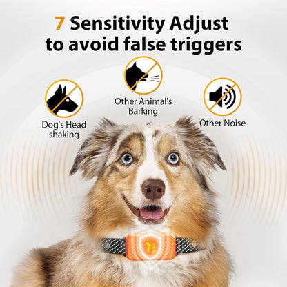 dog wearing KJKZO bark collar while playing outside. KJKZO anti-bark collar with fast 0.1s response time. no shock dog training collar with beep and vibration. KJKZO rechargeable dog collar with USB Type-C cable. smart anti-bark collar with false trigger prevention. waterproof dog bark collar for outdoor use. adjustable bark collar for dogs with 8–24 inch neck. lightweight no bark collar for small breed dog. dog barking behavior corrected with training collar. KJKZO humane dog collar safe for puppies 6 mont
