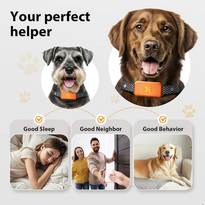 dog wearing KJKZO bark collar while playing outside. KJKZO anti-bark collar with fast 0.1s response time. no shock dog training collar with beep and vibration. KJKZO rechargeable dog collar with USB Type-C cable. smart anti-bark collar with false trigger prevention. waterproof dog bark collar for outdoor use. adjustable bark collar for dogs with 8–24 inch neck. lightweight no bark collar for small breed dog. dog barking behavior corrected with training collar. KJKZO humane dog collar safe for puppies 6 mont