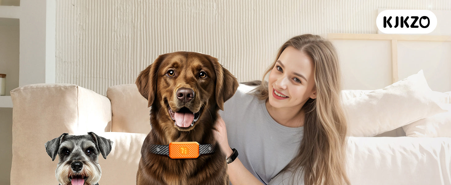 dog wearing KJKZO bark collar while playing outside. KJKZO anti-bark collar with fast 0.1s response time. no shock dog training collar with beep and vibration. KJKZO rechargeable dog collar with USB Type-C cable. smart anti-bark collar with false trigger prevention. waterproof dog bark collar for outdoor use. adjustable bark collar for dogs with 8–24 inch neck. lightweight no bark collar for small breed dog. dog barking behavior corrected with training collar. KJKZO humane dog collar safe for puppies 6 mont